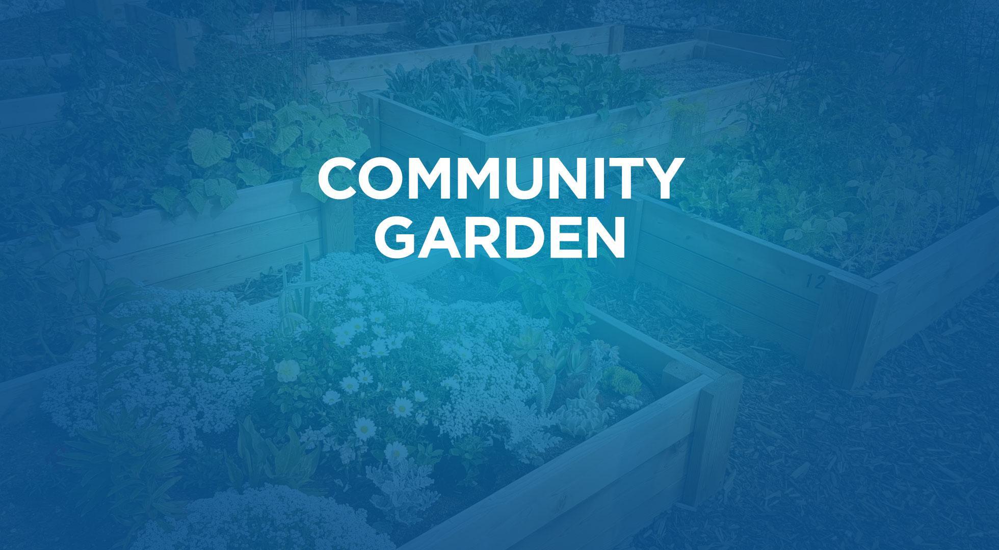 New Courtenay apartments for rent