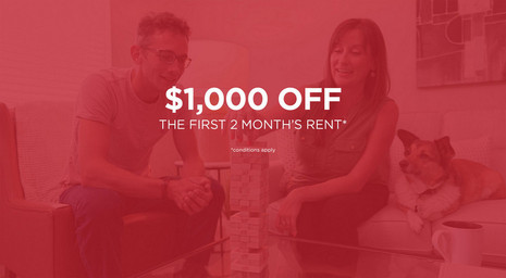 Juniper Gardens slider image 0