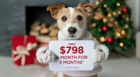 Laurel Meadows slider image 0