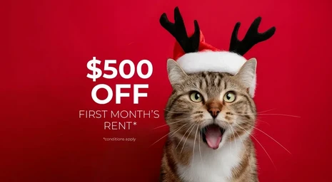 Blackwolf Ridge slider image 0