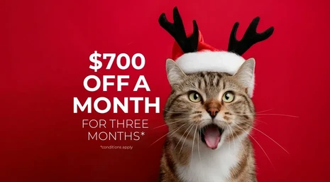 Water's Edge slider image 0