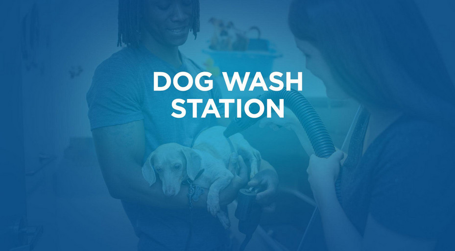 Brand New Apartments for Rent Northwest Edmonton Castle Downs Castlebrook Greens