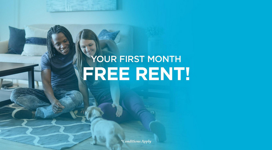 Apartments for Rent South Edmonton Windermere