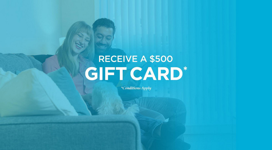 Pet Friendly 2 Bedroom Apartments