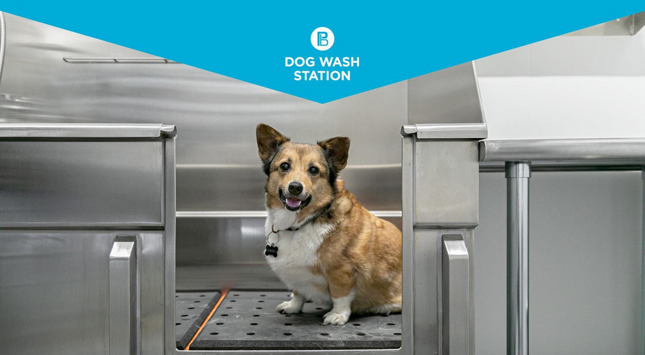 Skyview Village Townhomes