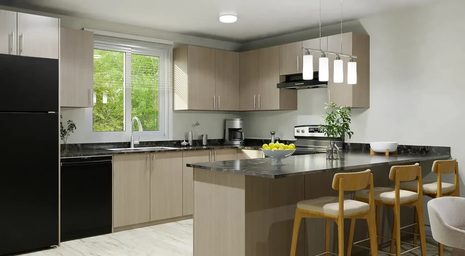 Skyview Village Townhomes