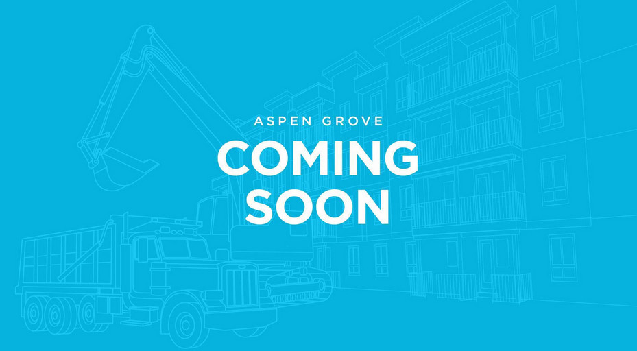 Aspen Grove