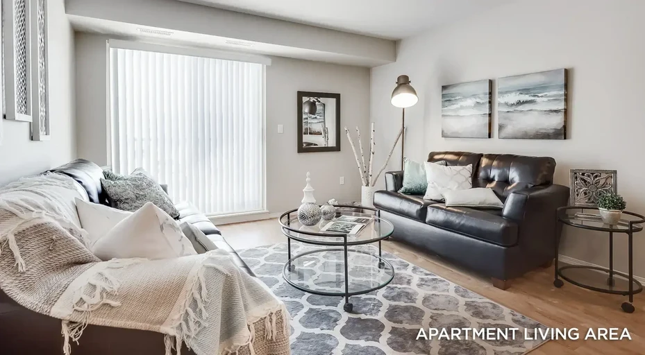 Birch Hills Landing