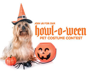 https://s3.amazonaws.com/lws_lift/broadstreet_rebuild/images/news/1571241291_howl-o-ween.jpg image