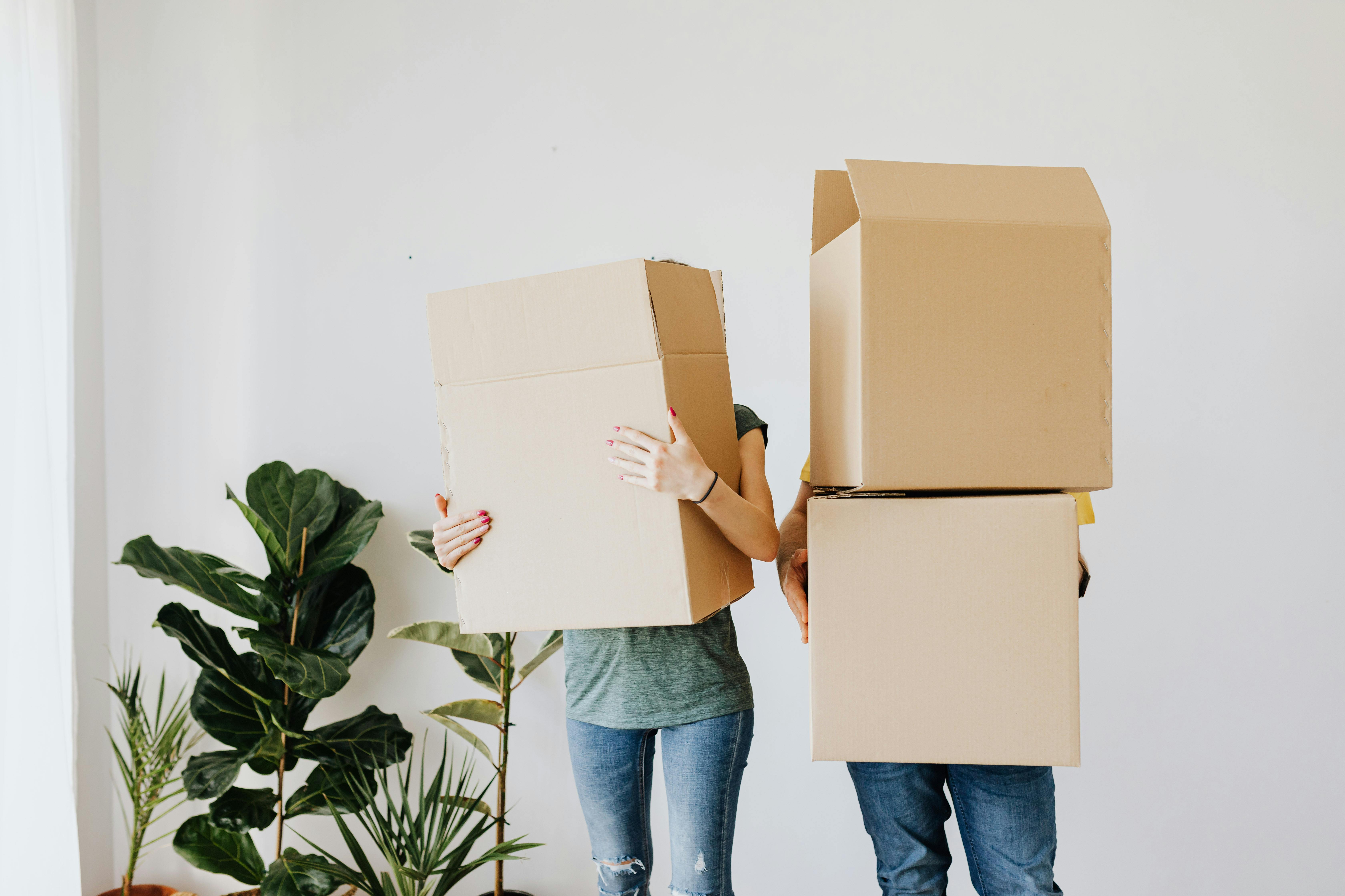Moving boxes: How to pack your house strategically Image