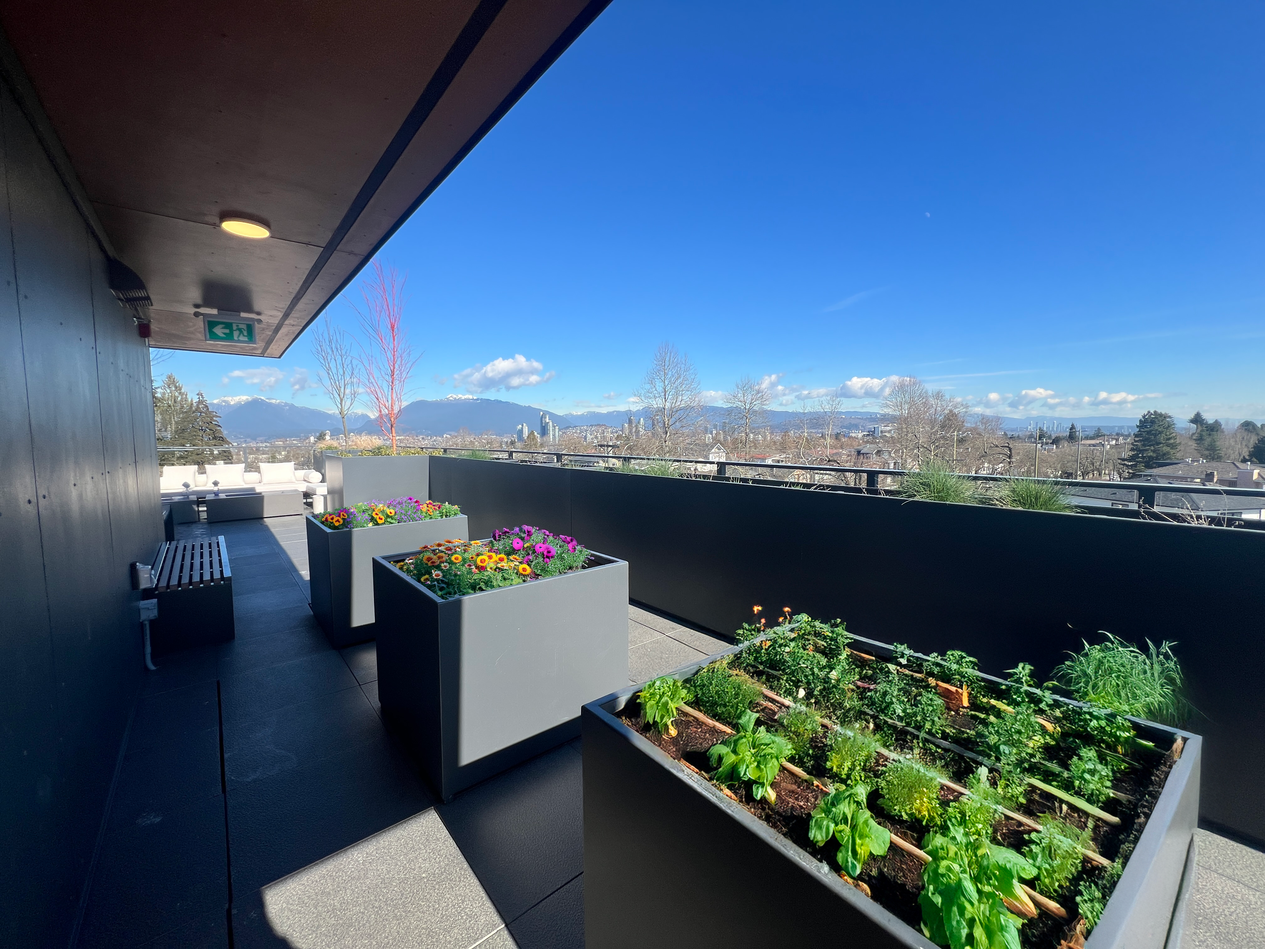 Moving in? Tips for a Smooth Move in Day  Image