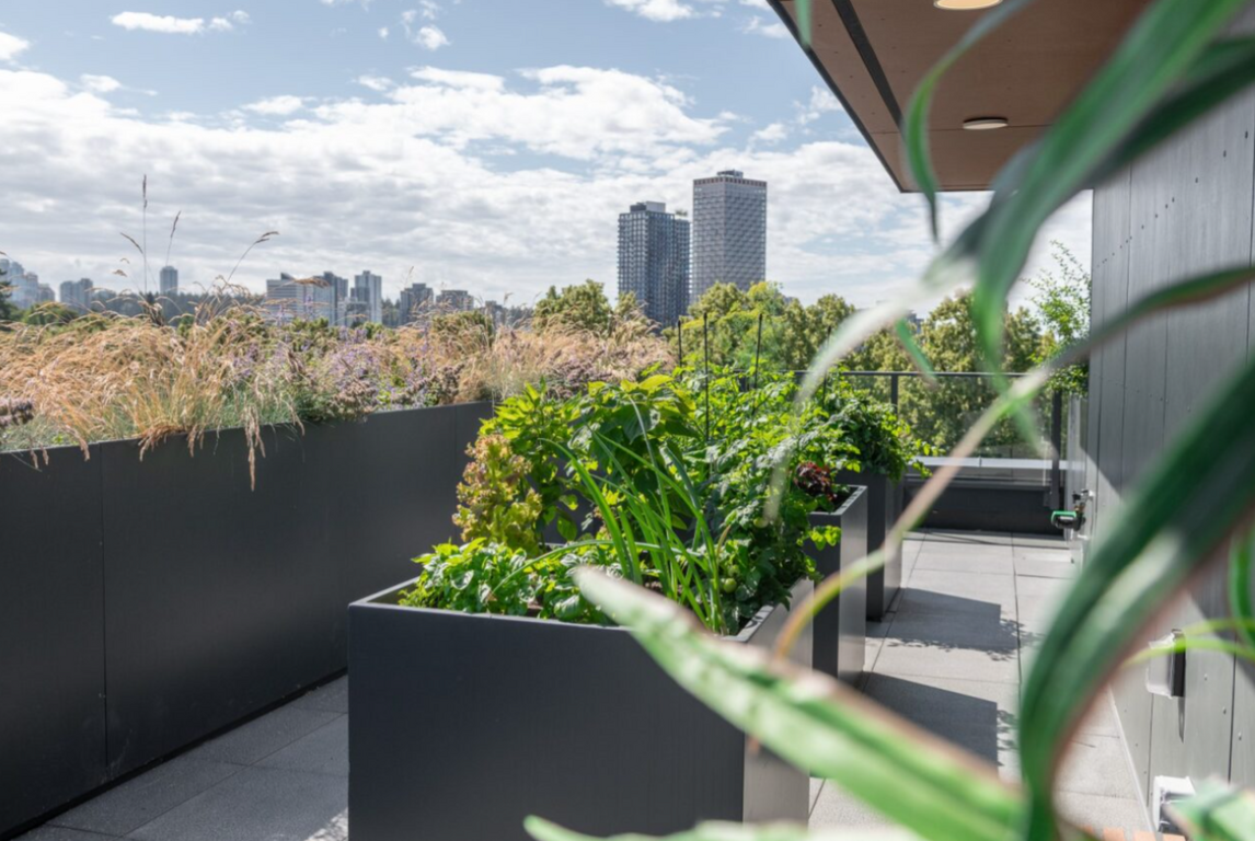 Rooftop Community Garden