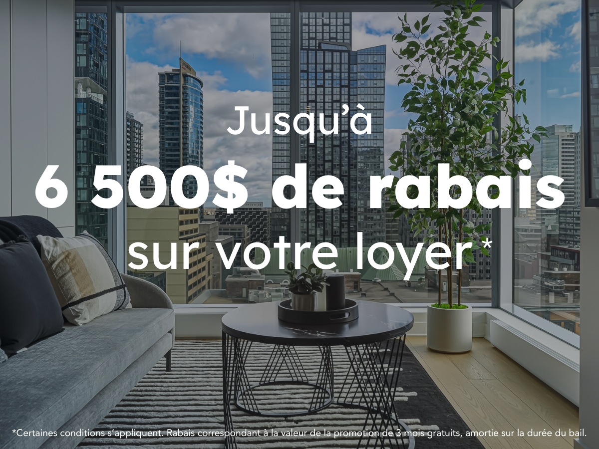 3 mois GRATUITS*