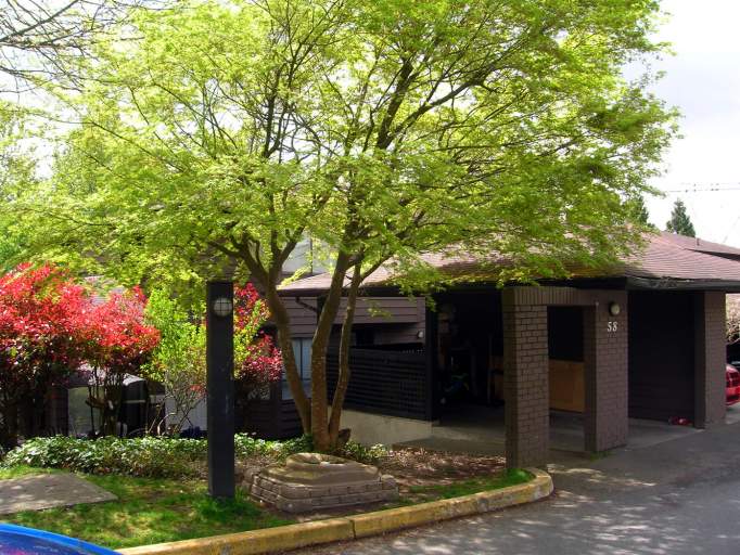 Shannon Gardens Apartments for rent, 11831 80th Avenue, North Delta, B