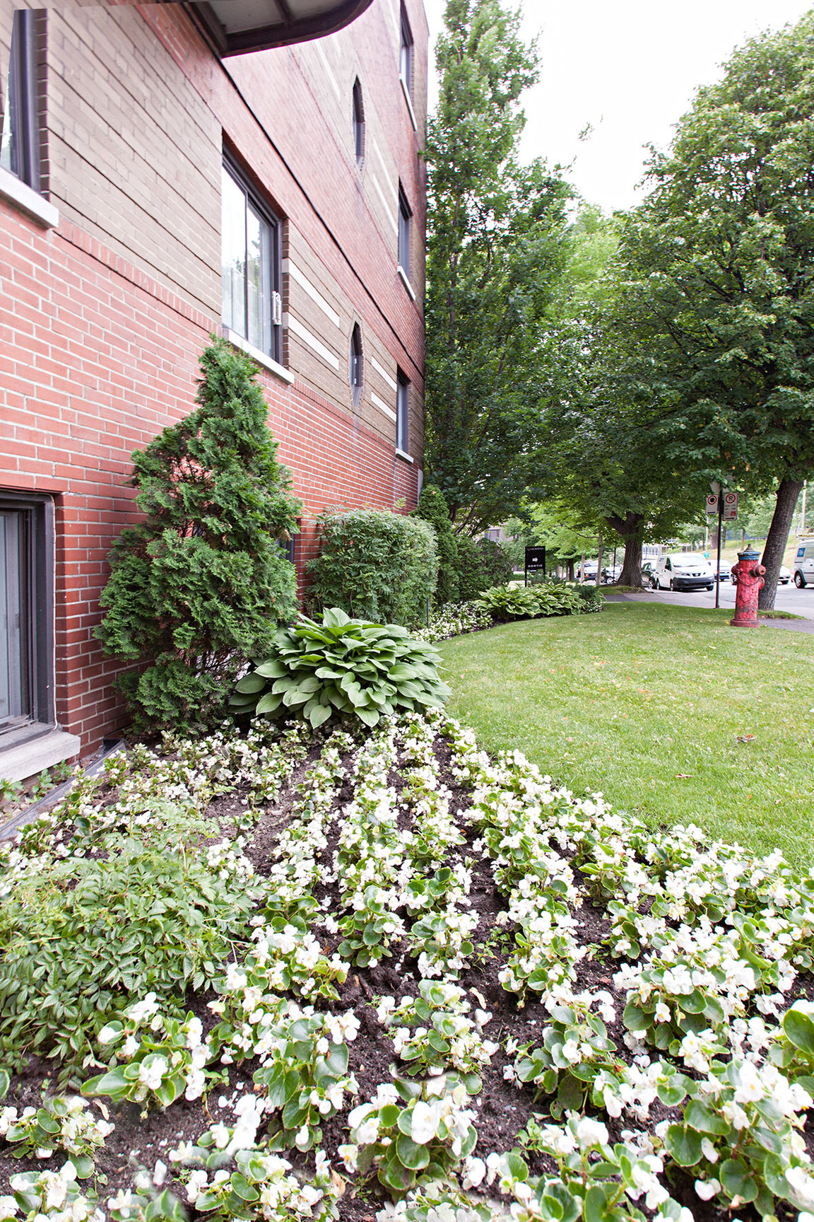5600 Avenue Decelles — photo 3