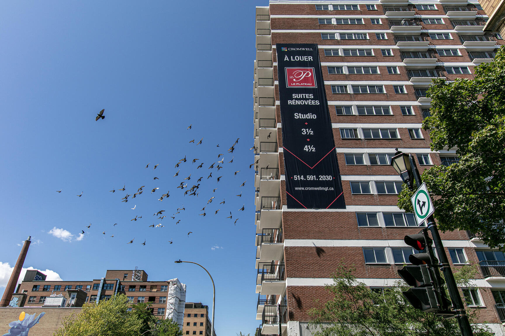 3605 Rue Saint-Urbain — photo 3