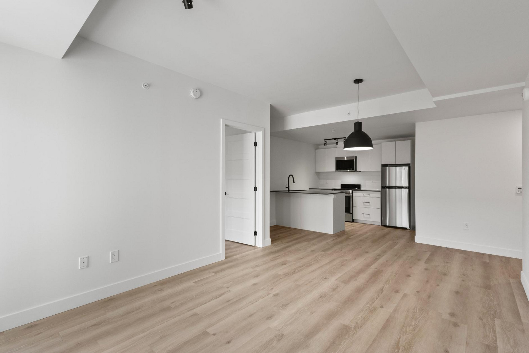1133 Avenue Viger Est — photo 1