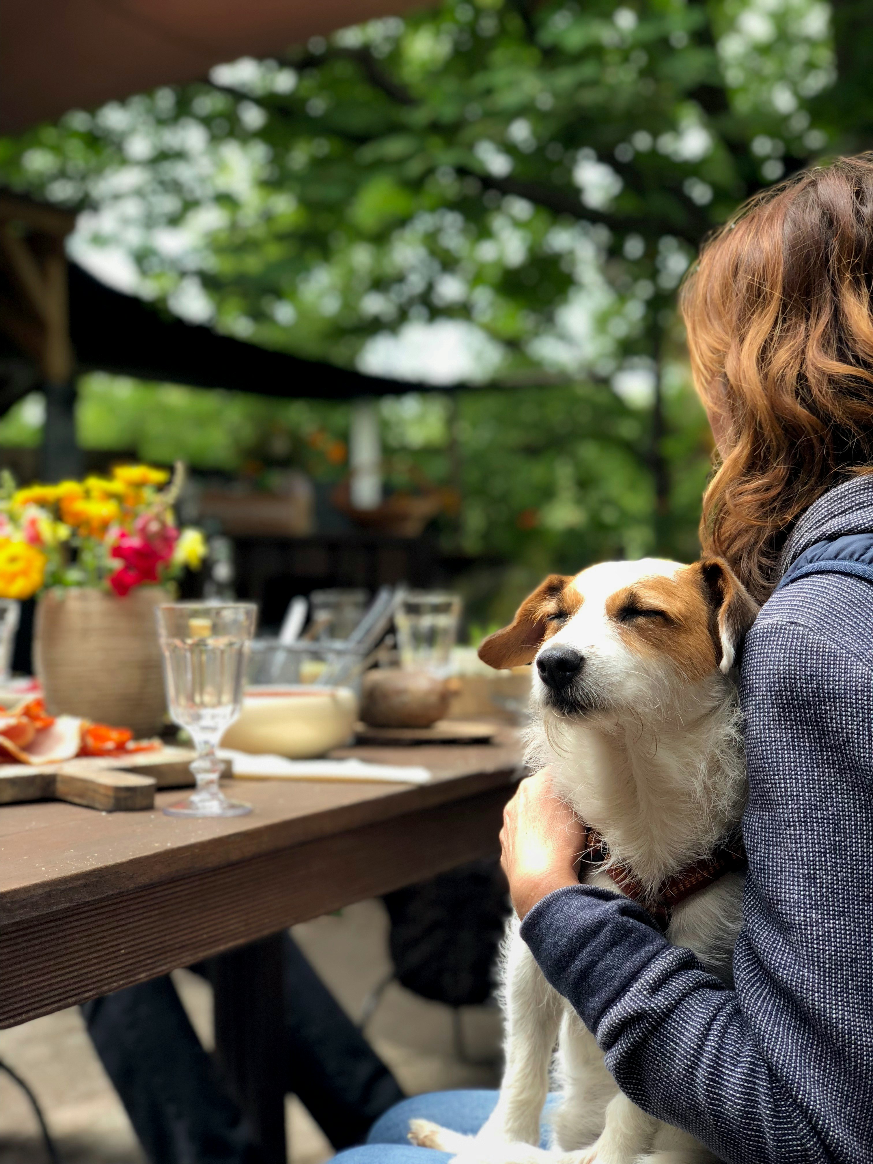 Sun‑soaked patio vibes: a happy pup soaks up cuddles on their owner’s lap during a relaxed outdoor brunch.