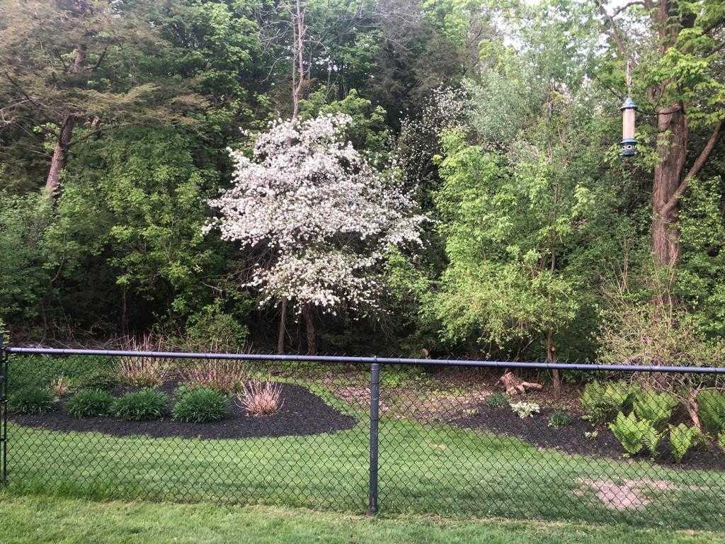975 Copperfield Dr — photo 2