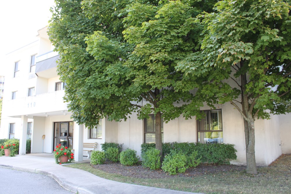 110 Beale Street, Woodstock, ON N4S 6X5 — photo 3