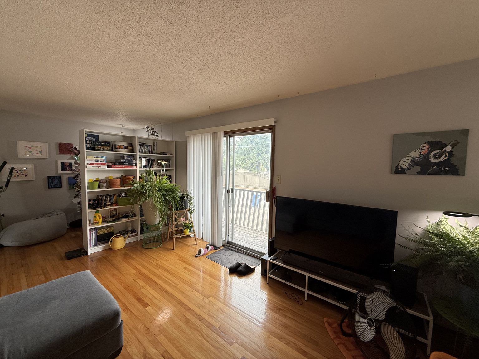 Gallery images