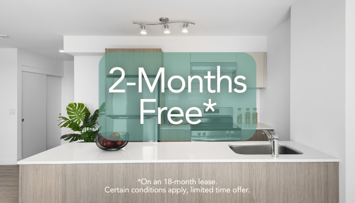 Contact us for more details!