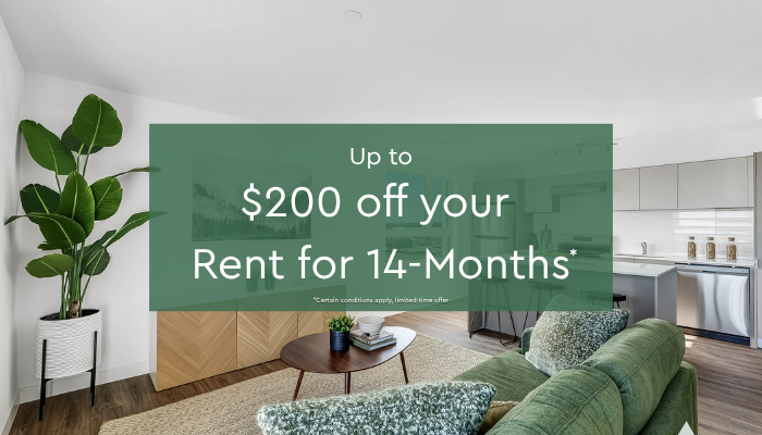 Contact us for more details!