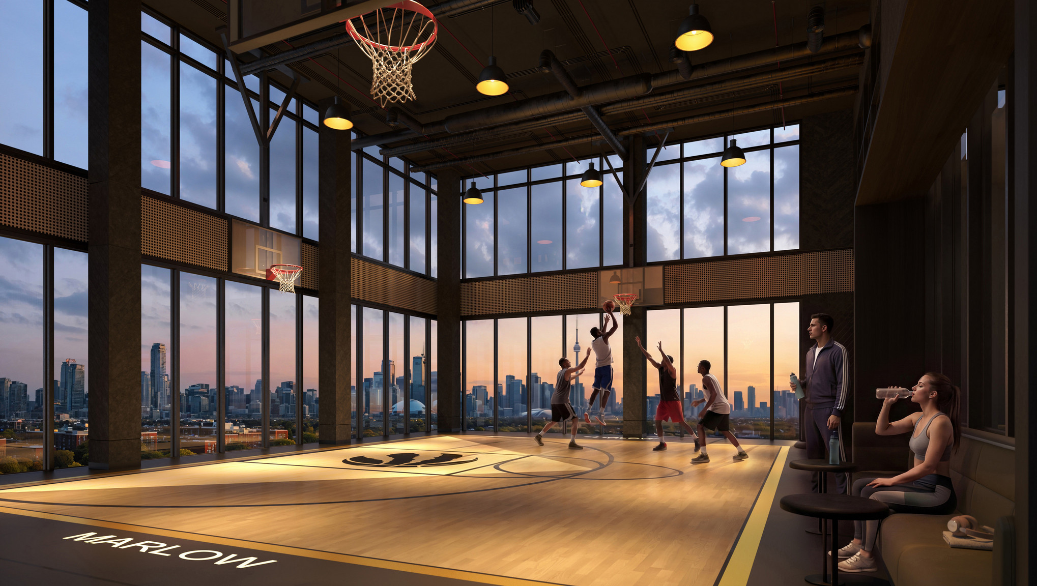 Raptors Basketball Court