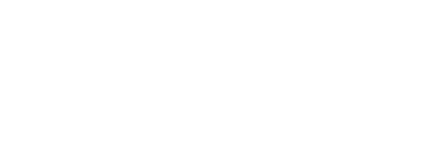 Official Raptors Basketball Court