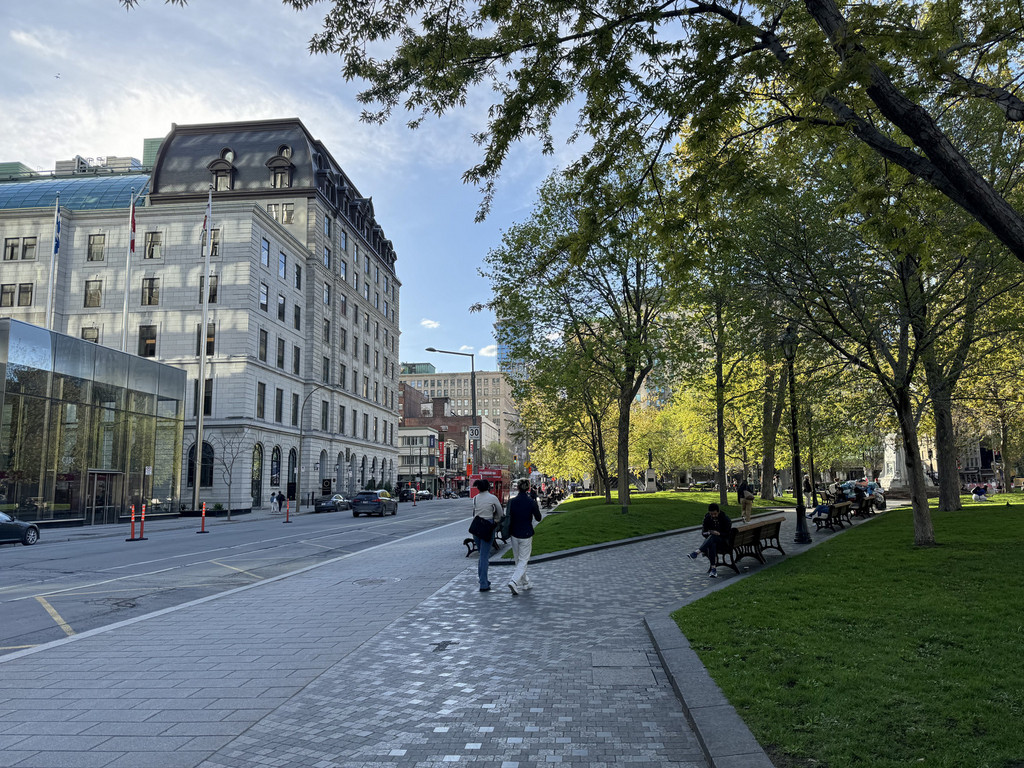 Maddox Dorchester image 5