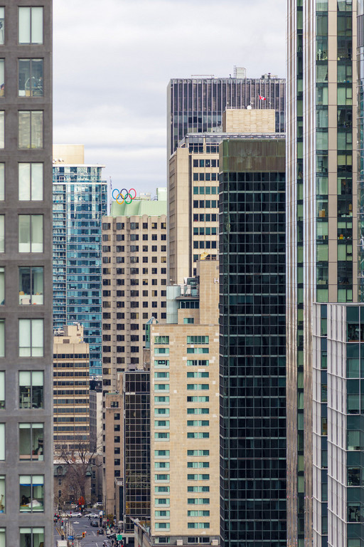 Maddox Dorchester image 2