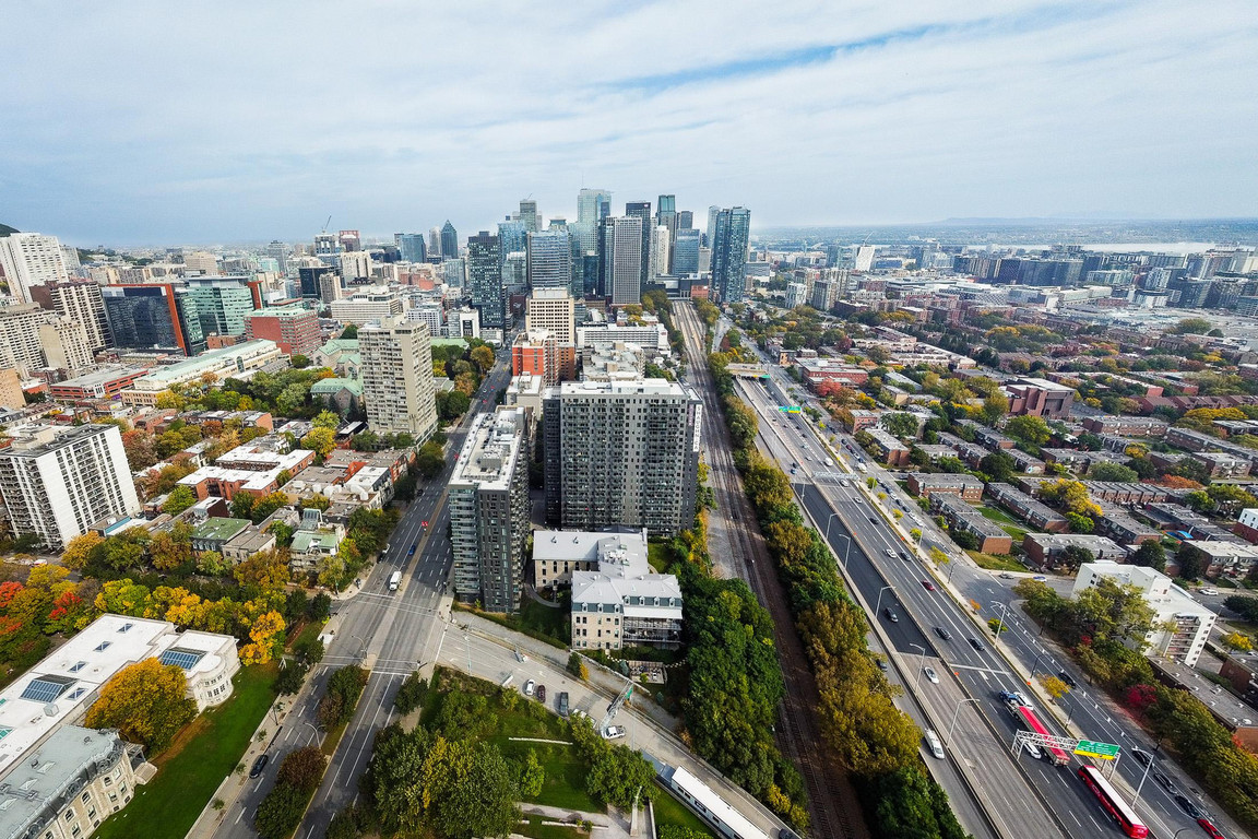 Maddox Dorchester image 3