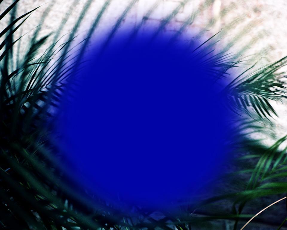 Waverley Guelph image 4