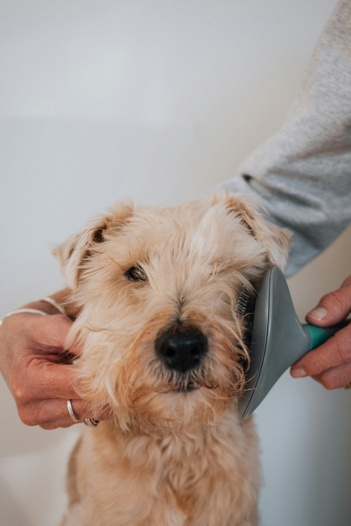 Waverley TMU image 2