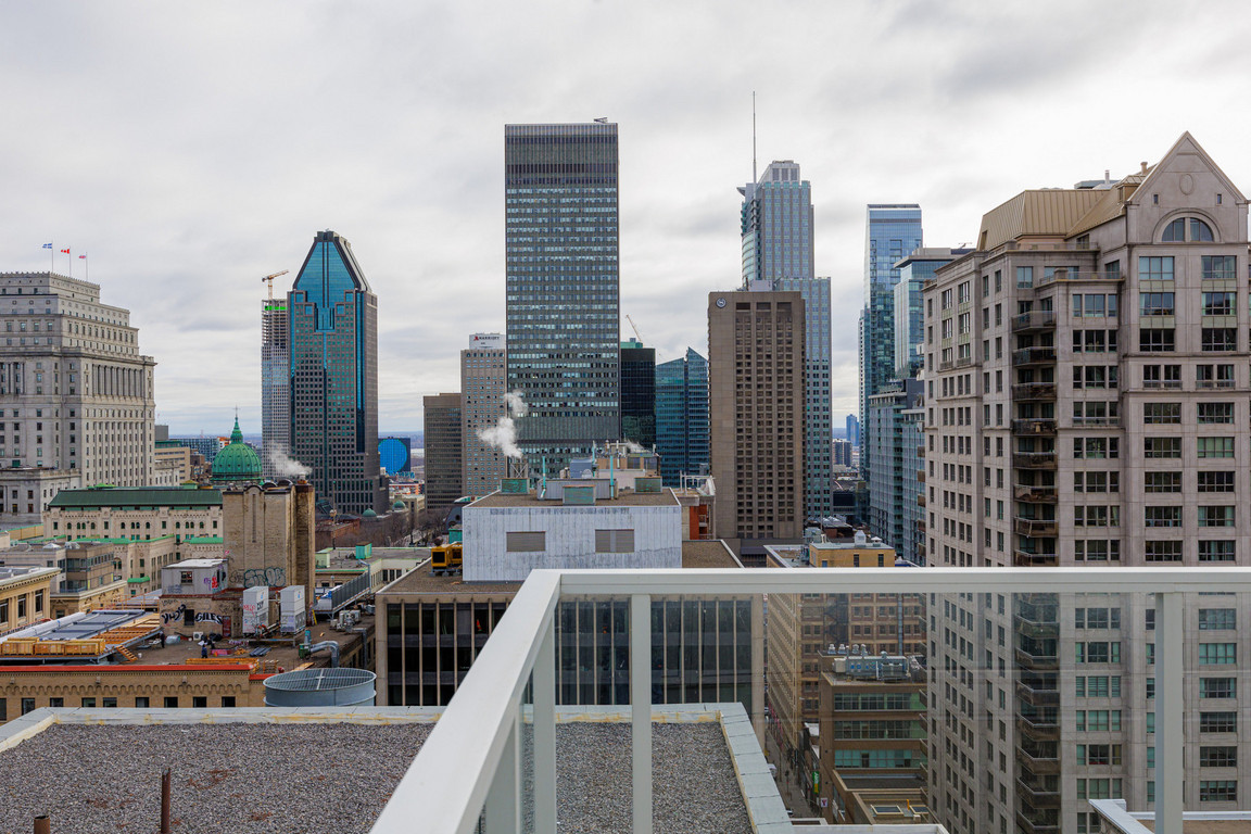 Loxley Mille Carré image 3