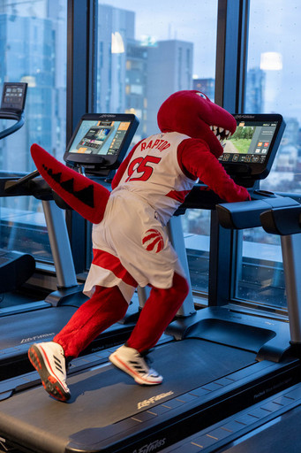 <p>Toronto Raptors</p>