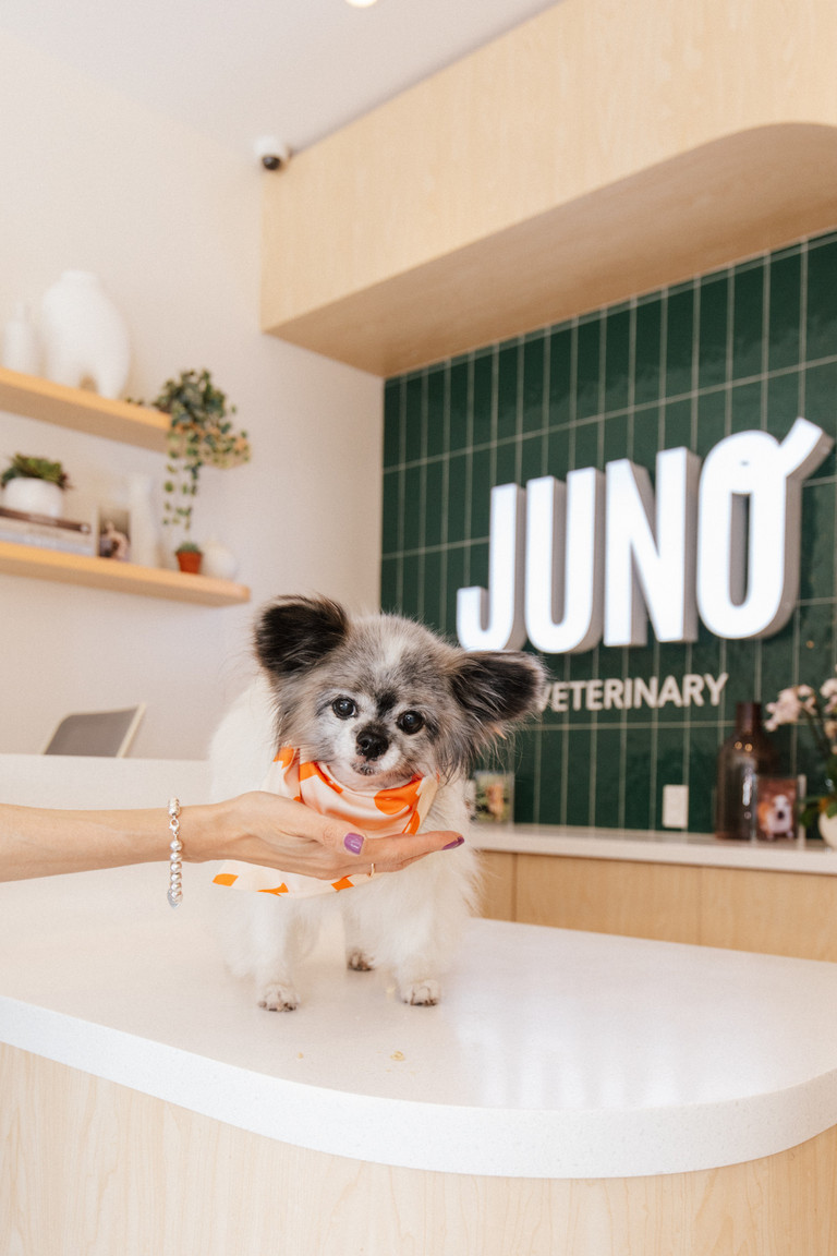 JUNO Vet
