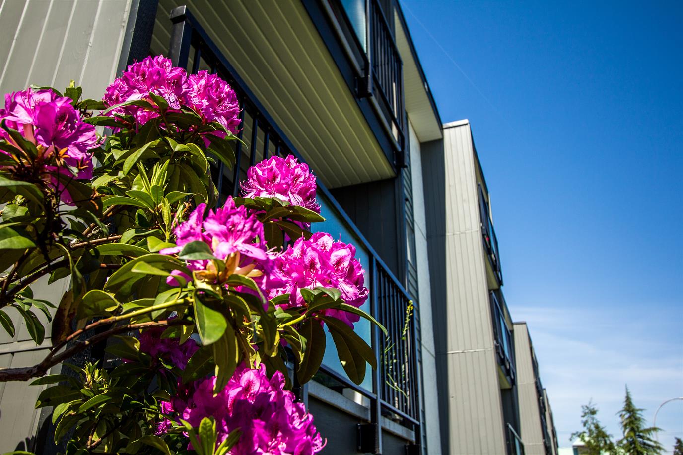 Barons Villa Apartments Groupe Denux