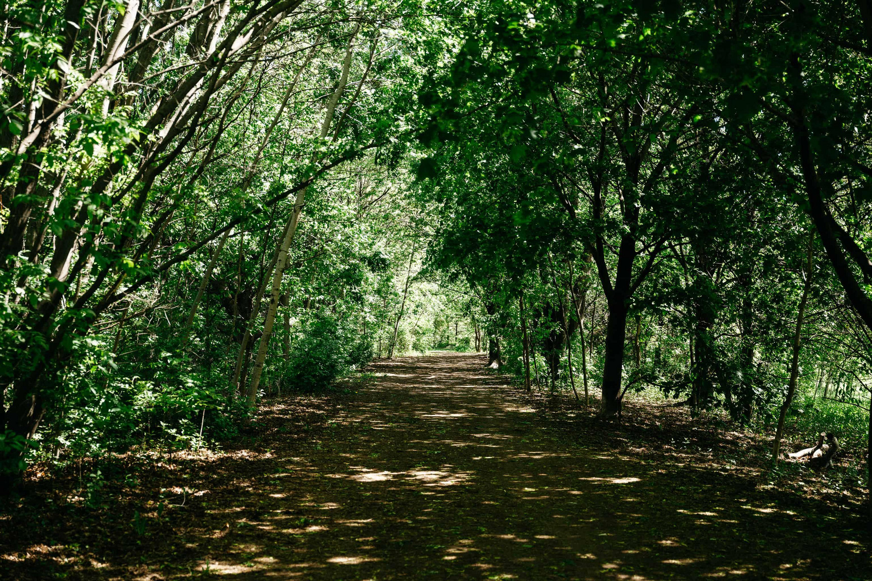 Walking trail