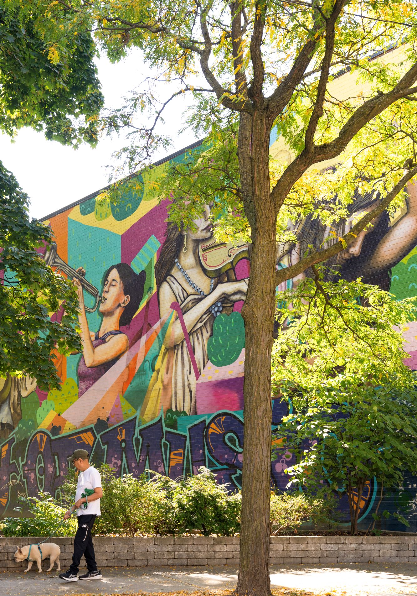 What Makes Bloor West Village One of Toronto's Best Rental Neighbourhoods? Image