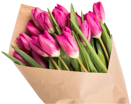 Contact Information Image