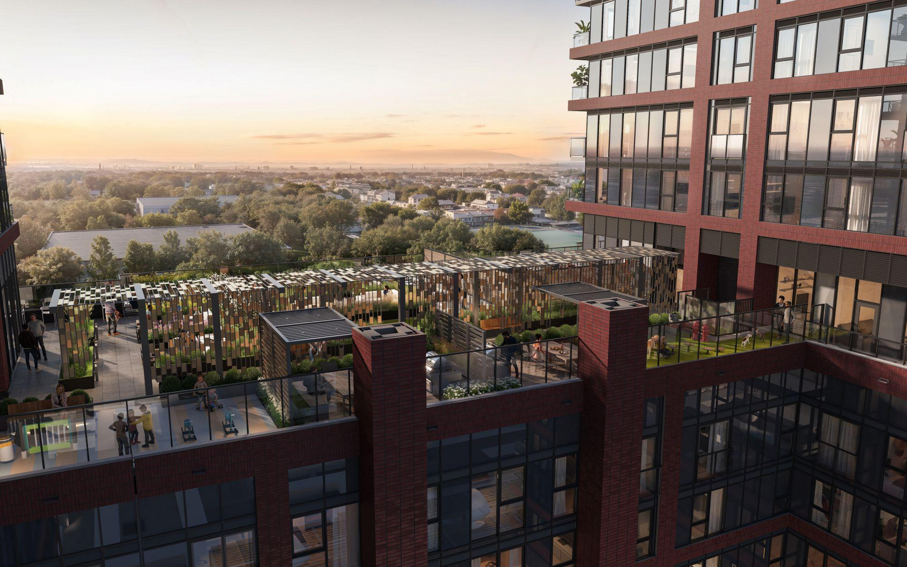 TERRACE BIRD’S EYE