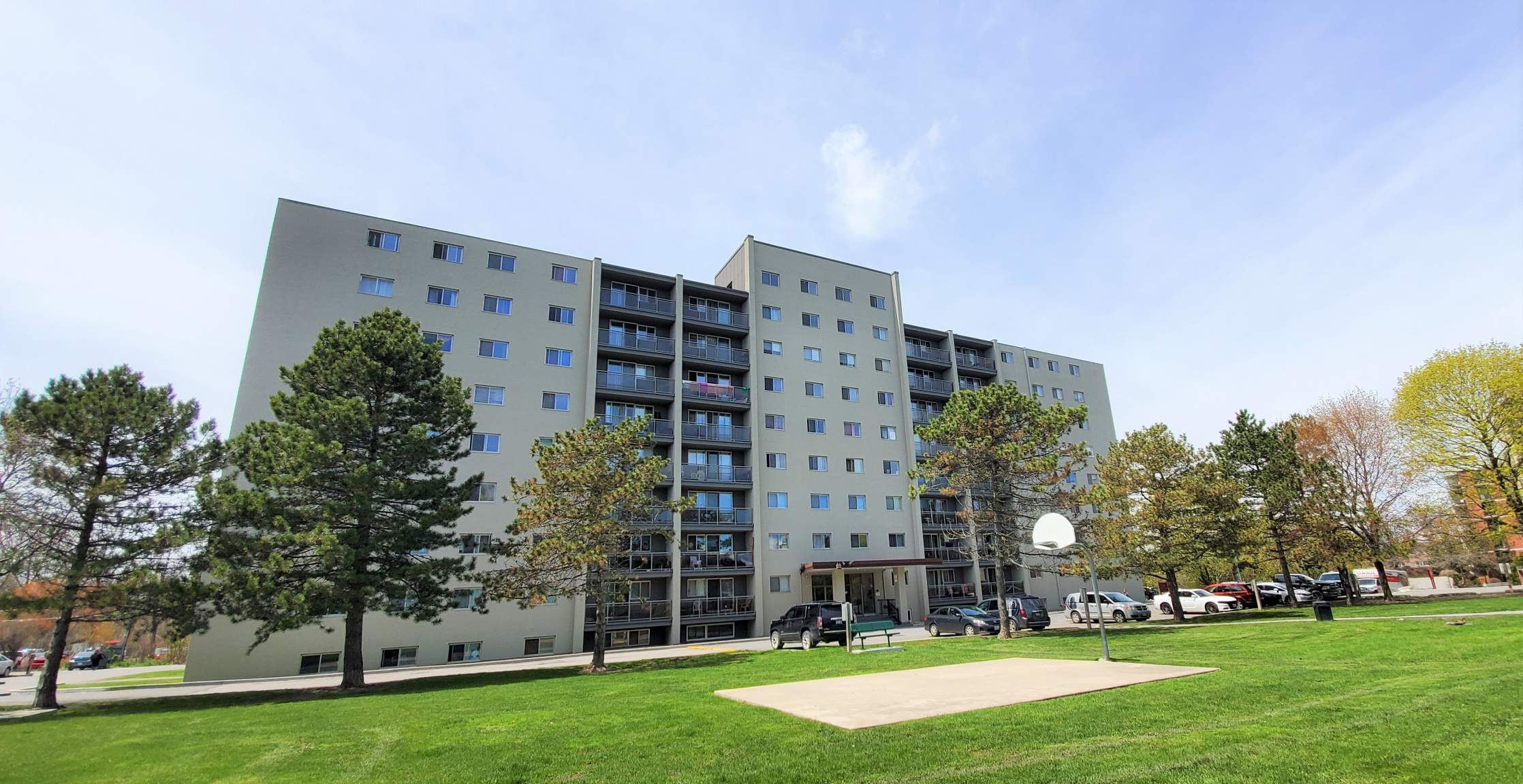 Kingston Apartments for Rent on Queen Mary Road Homestead