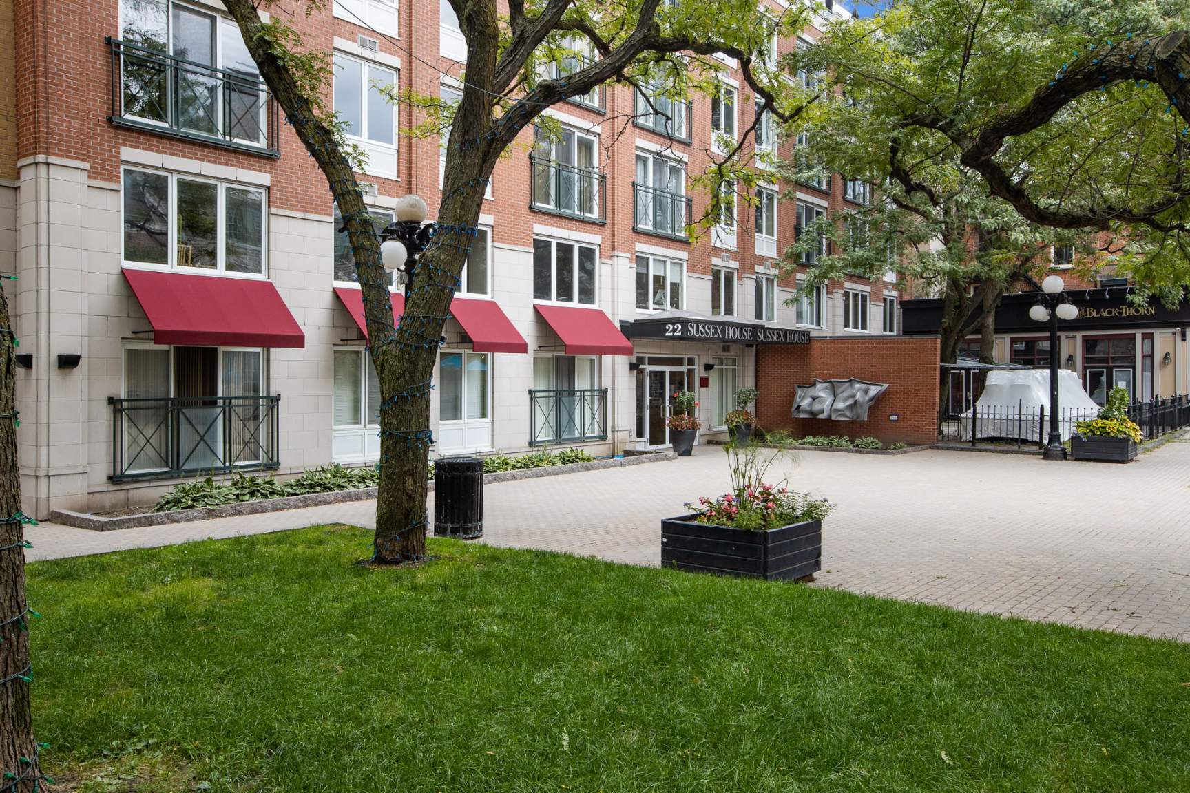 Apartments For Rent In Sussex Nb at Charles Wunsch blog