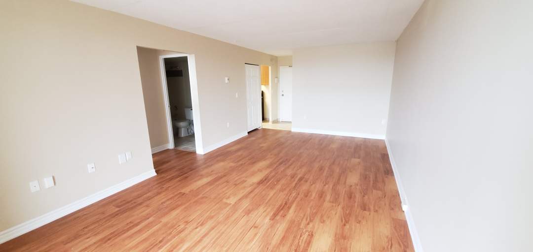 Apartments for Rent in Kingston Homestead