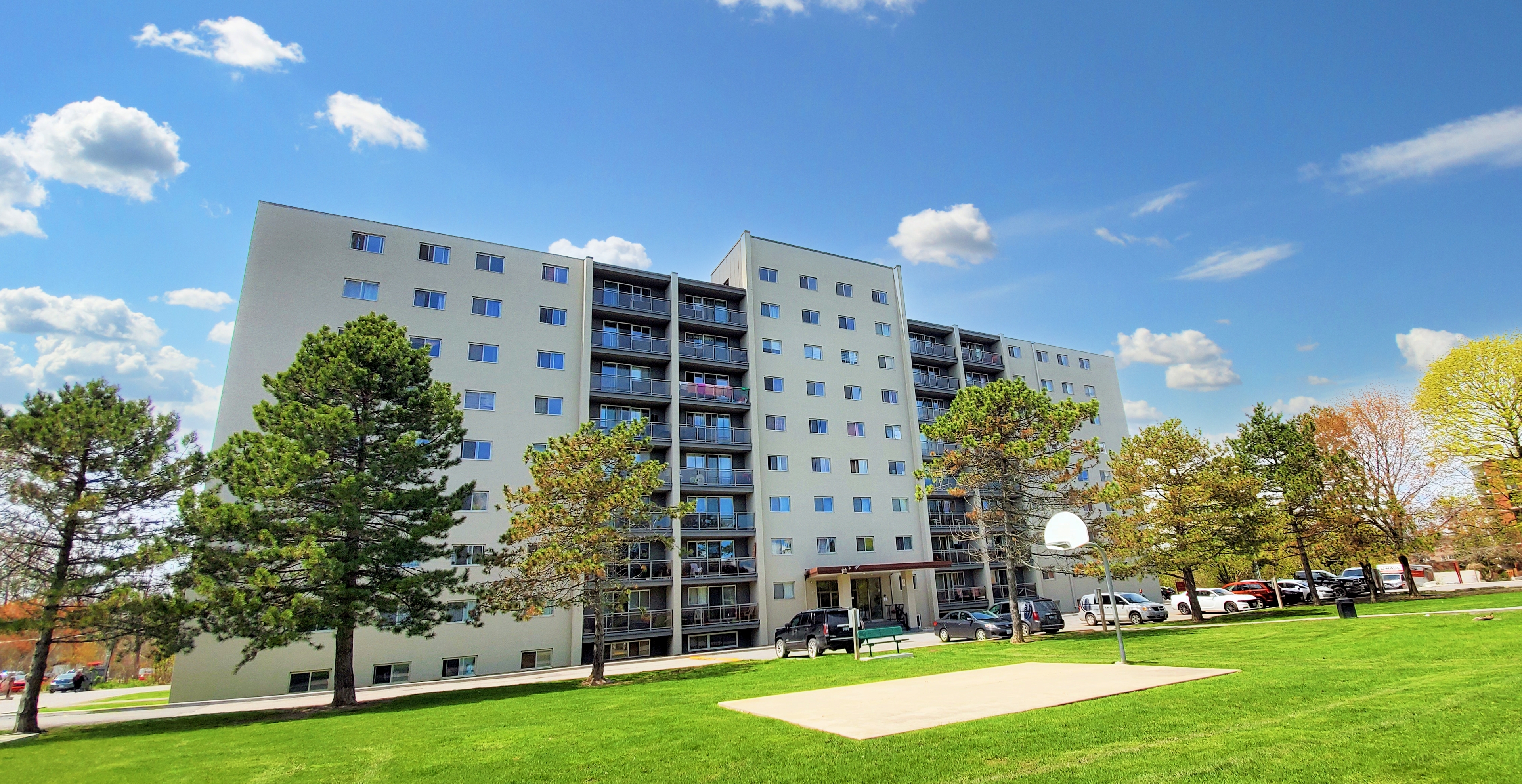 180/204 Queen Mary Road, Kingston, ON K7M 2A8 — photo 3