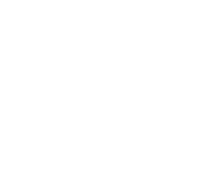 10th Line Footer Logo