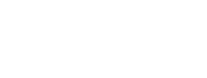 Company Logotype