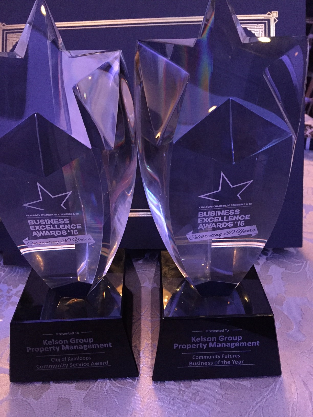 Community Service and Business of the Year