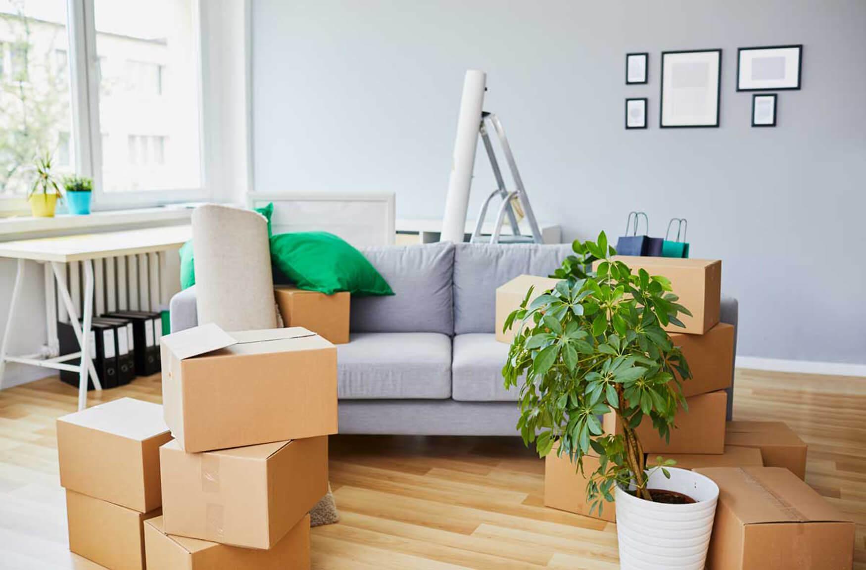 desktop_home_img - 2